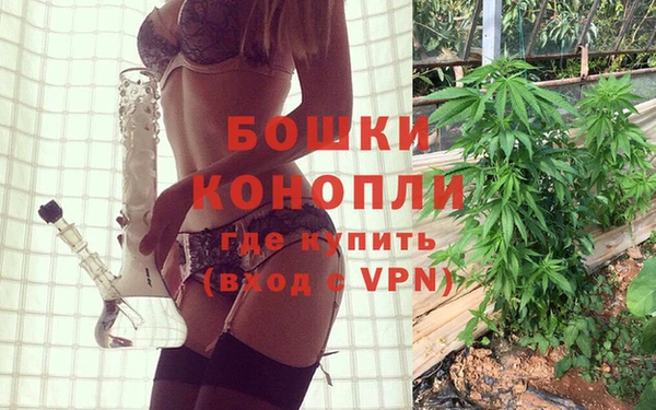 дживик Верея