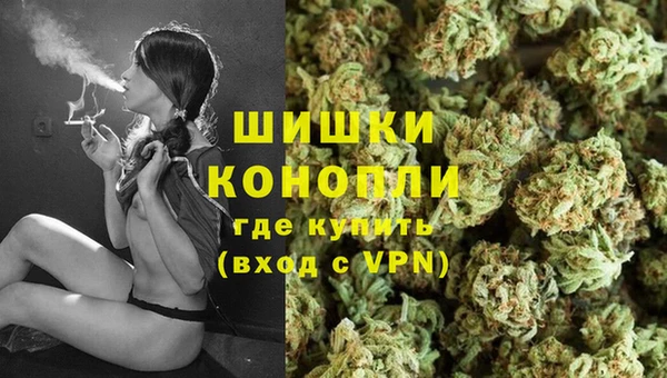 дживик Верея