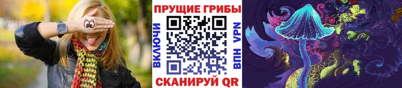 закладка  Геленджик  Псилоцибиновые грибы GOLDEN TEACHER 