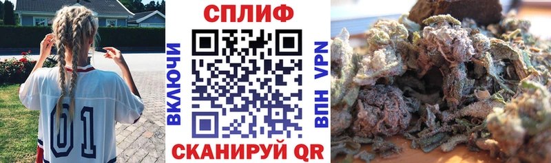 где купить наркотик  Геленджик  Канабис сатива 